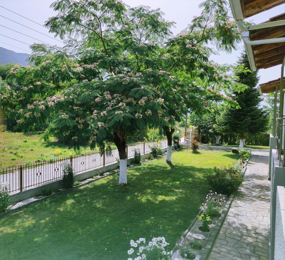 Zisis Garden Studios Яніна Екстер'єр фото