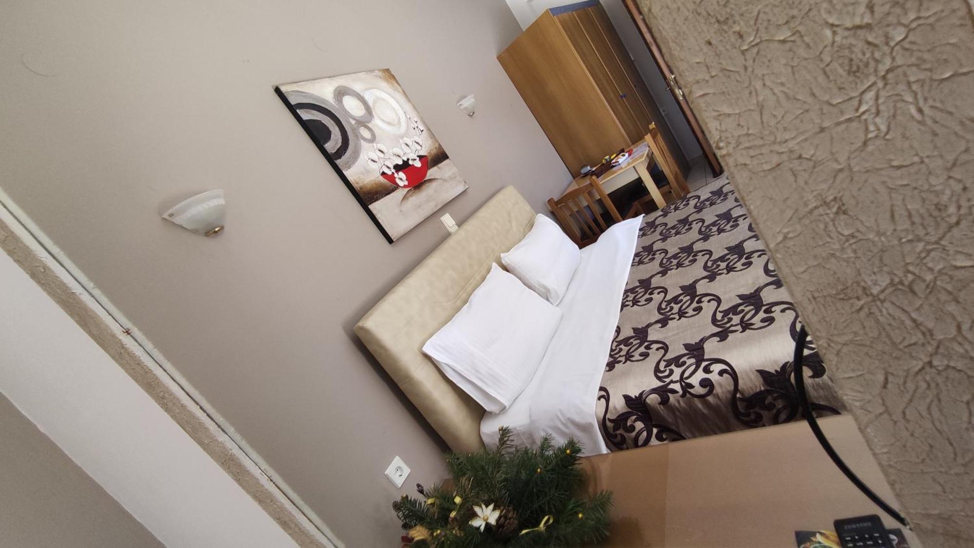Zisis Garden Studios Яніна Номер фото