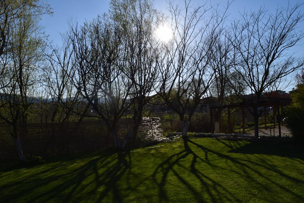 Zisis Garden Studios Яніна Екстер'єр фото