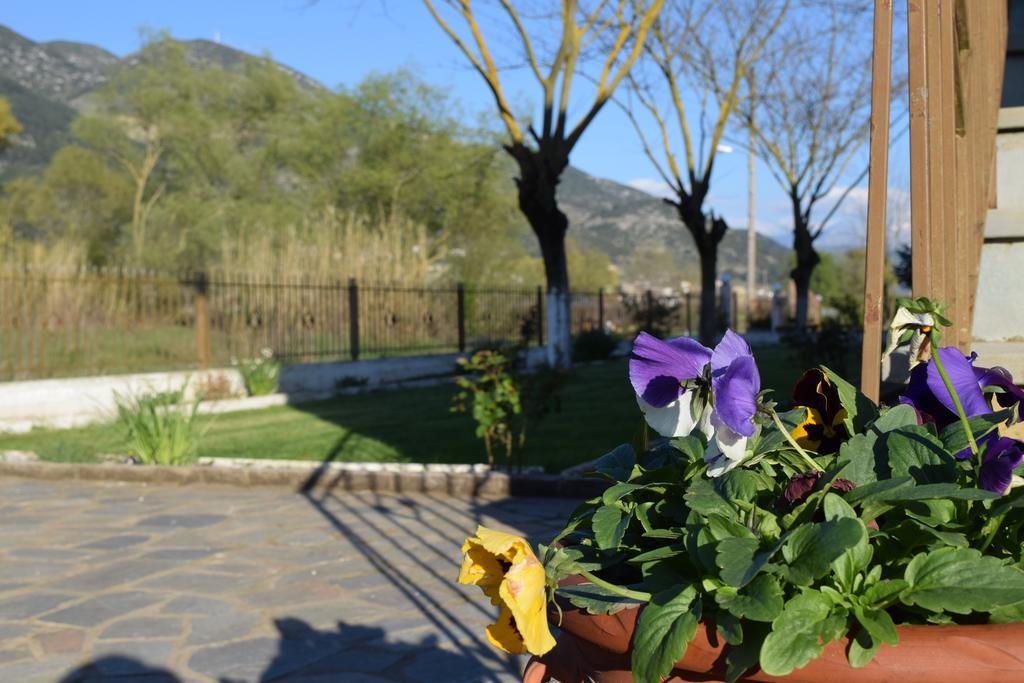 Zisis Garden Studios Яніна Екстер'єр фото